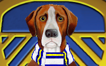 Leeds United News Hound